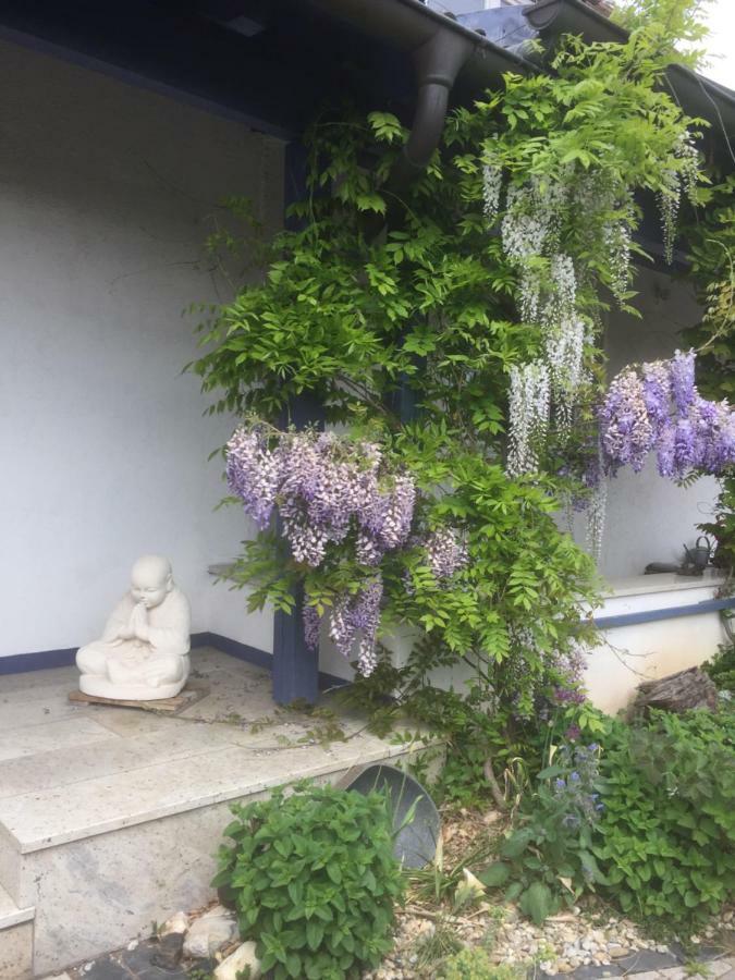 Gaensebluemchen 1 Apartment Daisy 1 Walsdorf  Εξωτερικό φωτογραφία